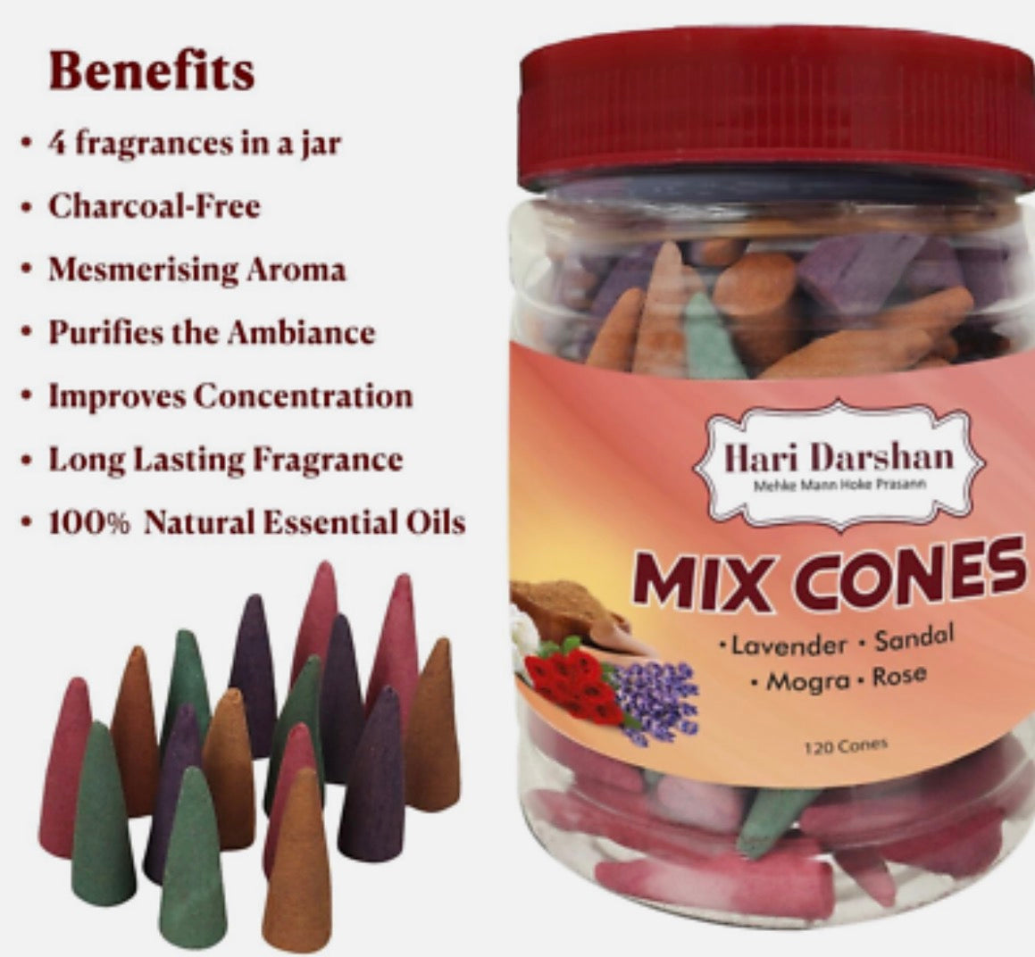 Hari Darshan Mix Cones 120pcs gurumart.co.nz